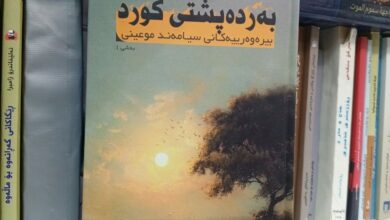 بەرگی كتێبی بەردەپشتی كورد